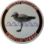 Shorebird