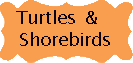 Turtles, Shorebirds and Seabirds